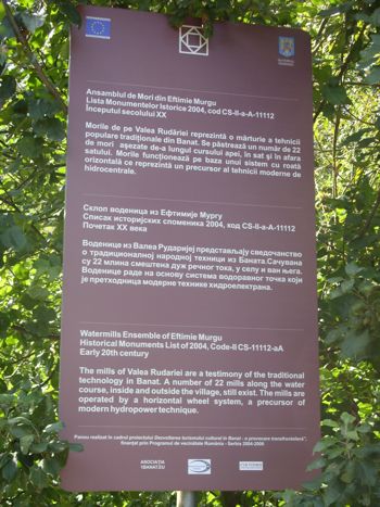 SDC11329