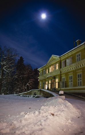 Savarshin Castle 2011 New Year Eve Â©Cristian Coposesc (3)