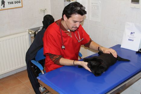 Troy first medical examination (3)