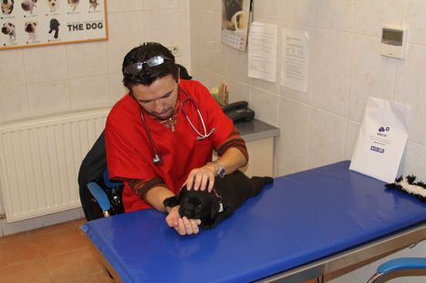 Troy first medical examination (2)