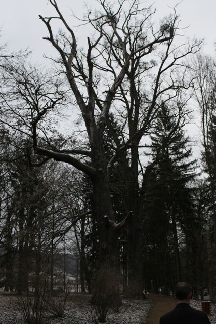 IMG_8736