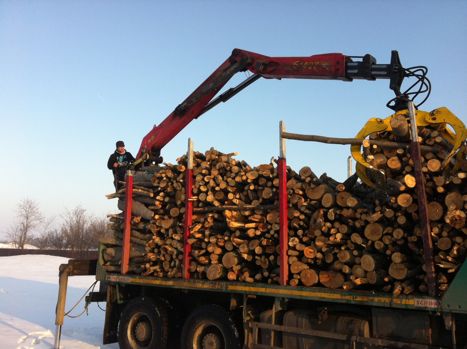 Regele Mihai trimite lemne de foc pentru sinistratii din Buzau 11