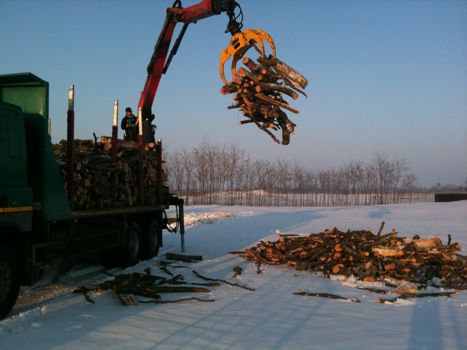 Regele Mihai trimite lemne de foc pentru sinistratii din Buzau 023