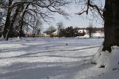 Savarsin in Winter 19Feb2012 (18)