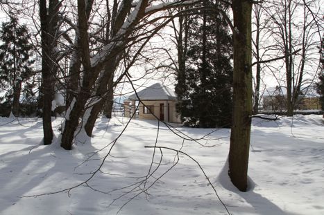 Savarsin in Winter 19Feb2012 (3)