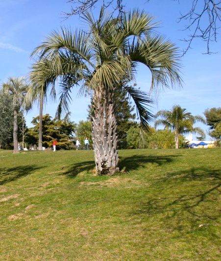 Parc Carol de Roumanie