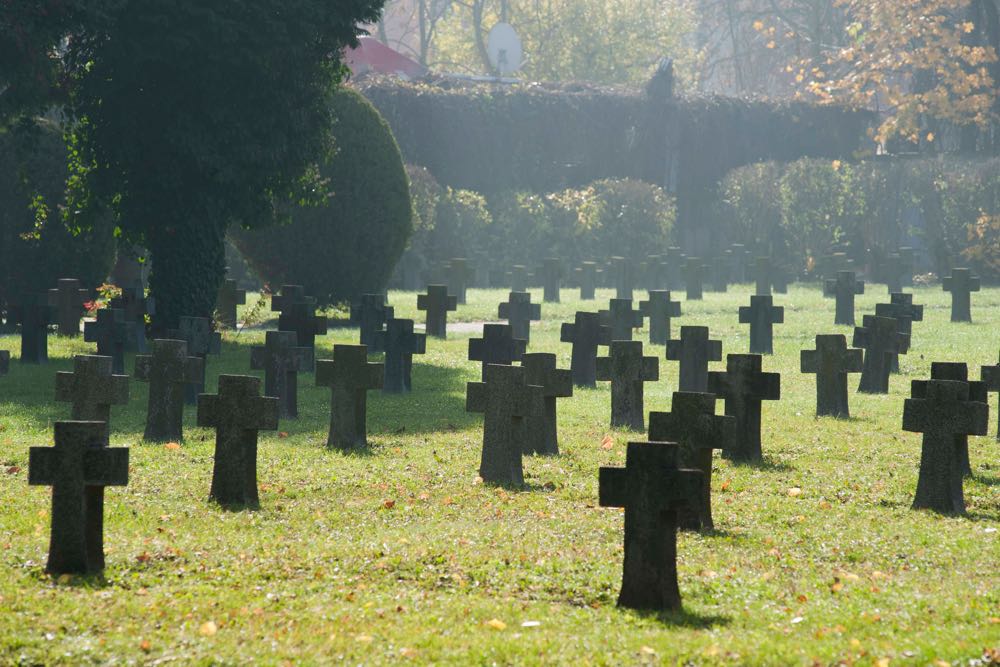 Principele Radu a luat parte la comemorarea victimelor razboaielor, Cimitirul Pro Patria, 11 noiembrie 2016, foto Daniel Angelescu