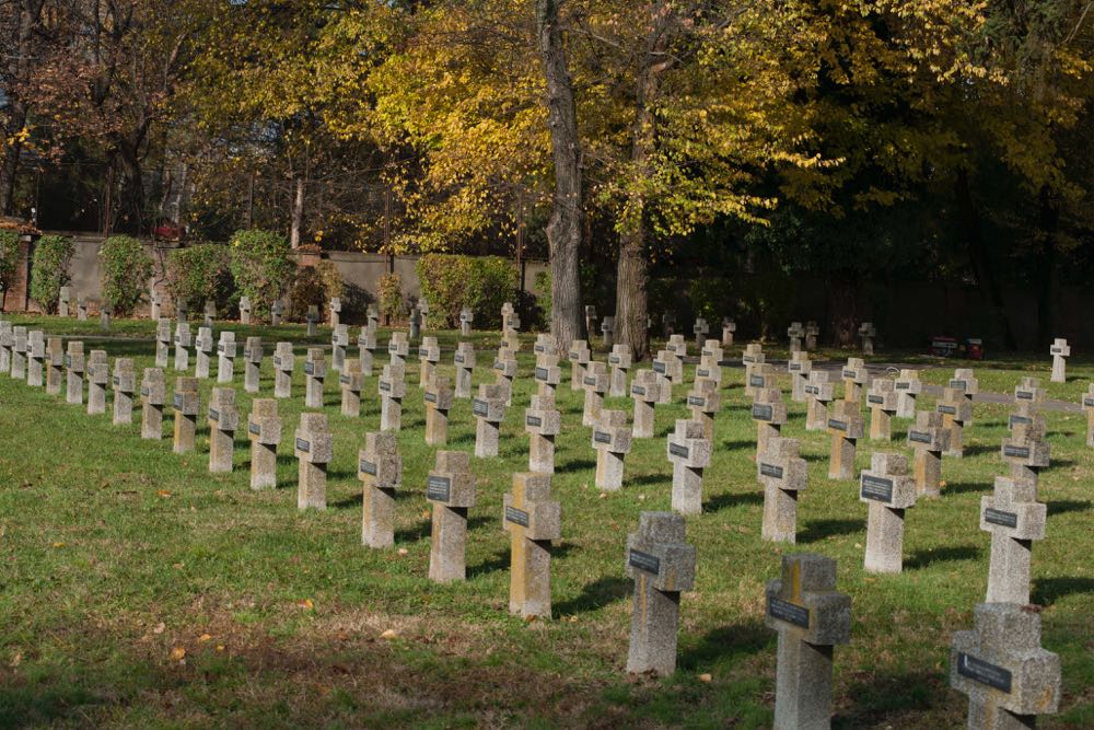 Principele Radu a luat parte la comemorarea victimelor razboaielor, Cimitirul Pro Patria, 11 noiembrie 2016, foto Daniel Angelescu