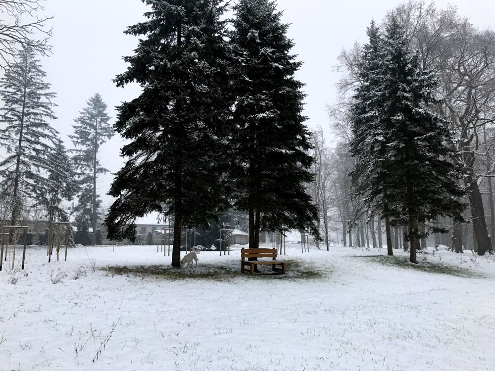 Savarsin, parcul si casa la ceas de sarbatoare a Craciunului 2016