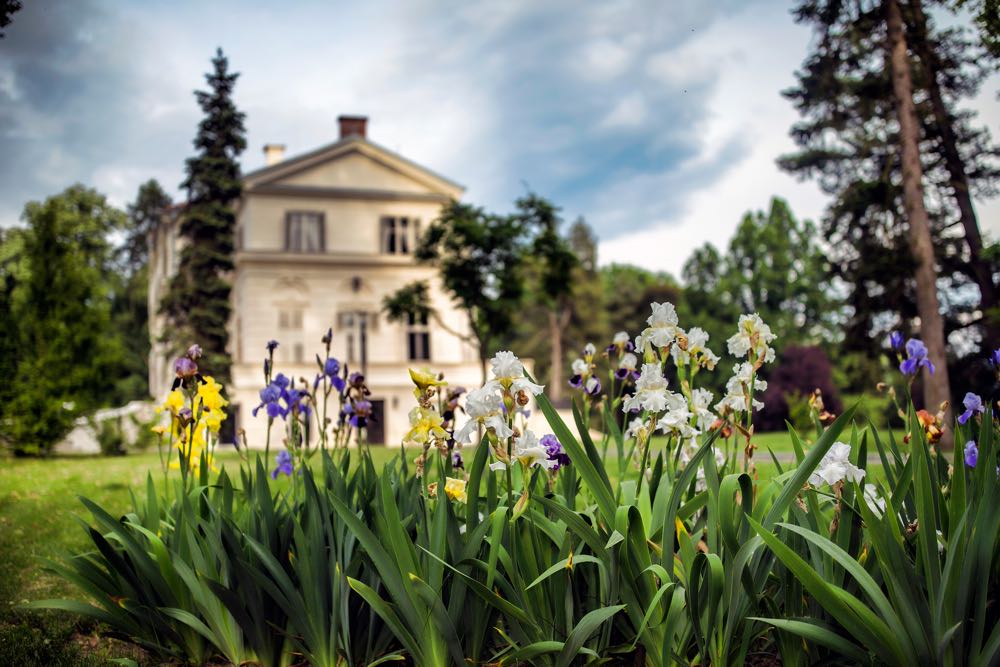 Cristian Coposesc - Parcul si Castelul Savarsin-23mai2017