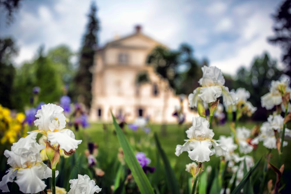 Cristian Coposesc - Parcul si Castelul Savarsin-23mai2017