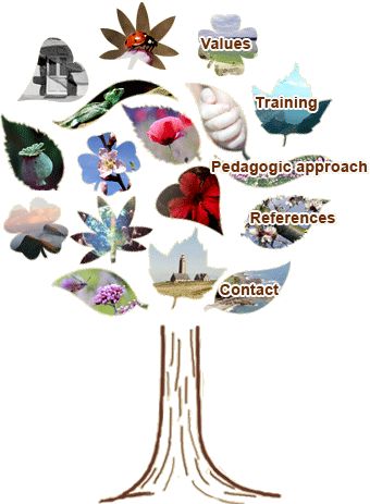sustainable-development-3.jpg